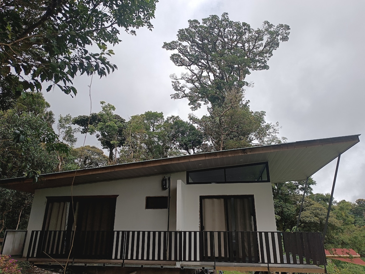 A modern house stands within a lush, green forest. The structure features large glass windows and a slanted roof, accentuating its contemporary design. A spacious balcony offers a view of surrounding trees, emphasizing the connection to nature.