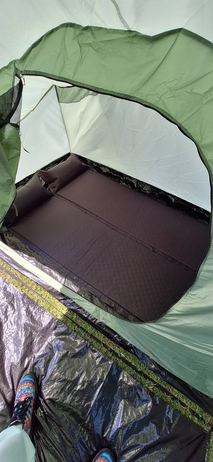 Great Holland Campsite Tent 2 - Frinton-on-Sea