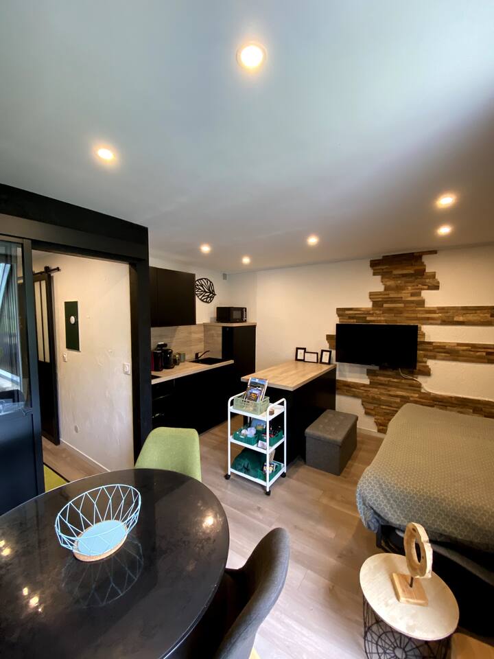 Sommet, Studio Centre Du Village, Lans En Vercors - Lans-en-Vercors