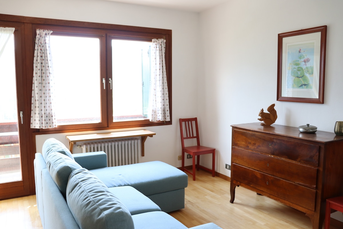 Successful Airbnb property: Tai di Cadore Apartment in Belluno