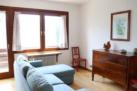 Proprietà Airbnb di successo: Tai di Cadore Apartment a Pieve Di Cadore