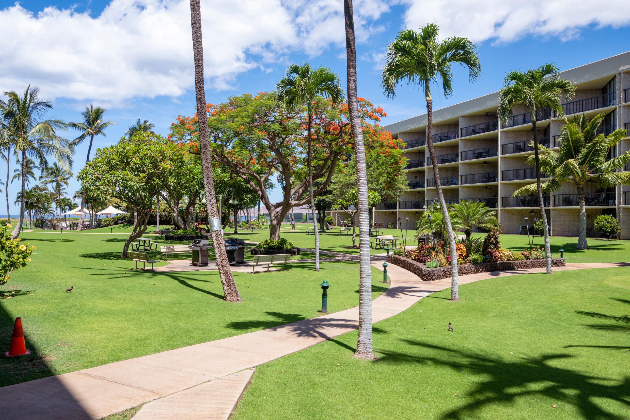 Oceanfront Condo in Maui Sunset Resort with Pool - Image 26