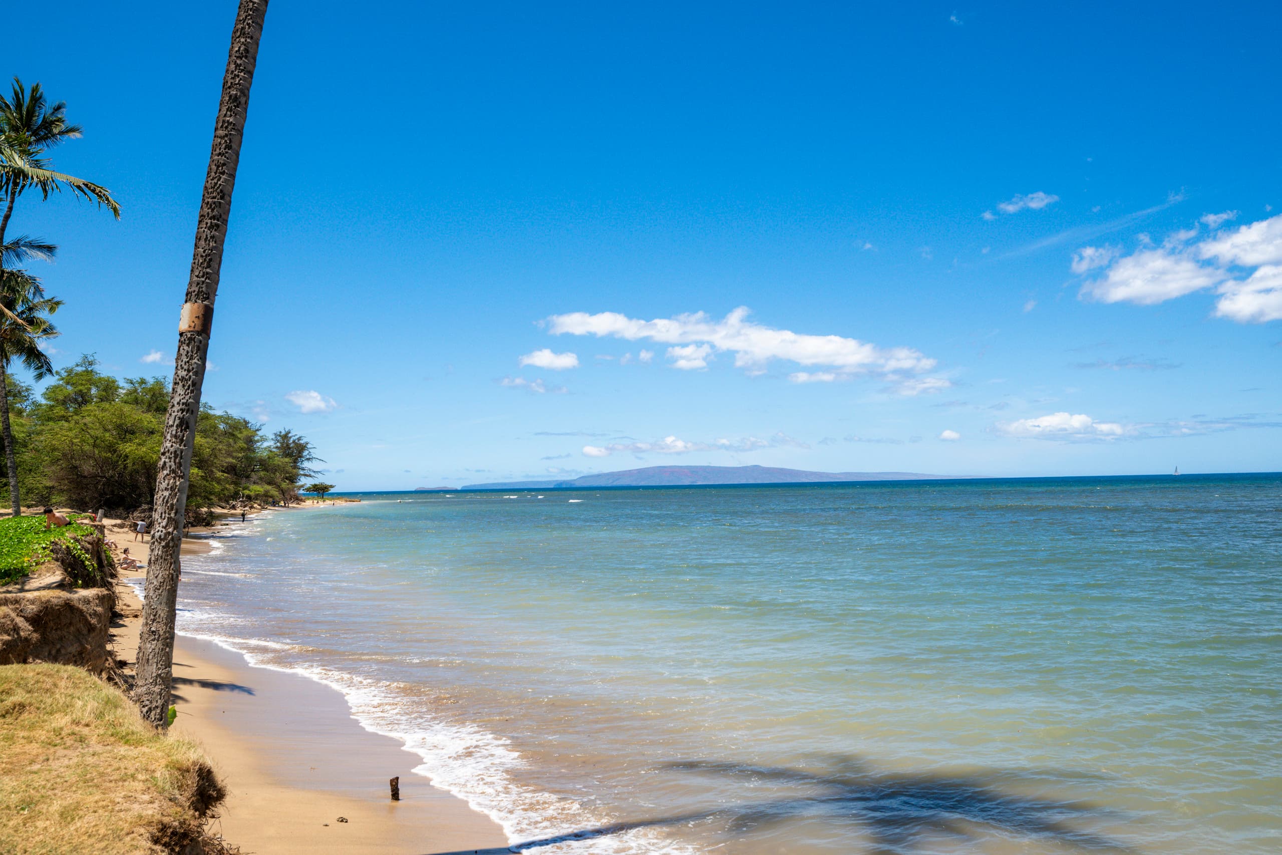 Oceanfront Condo in Maui Sunset Resort with Pool - Image 16
