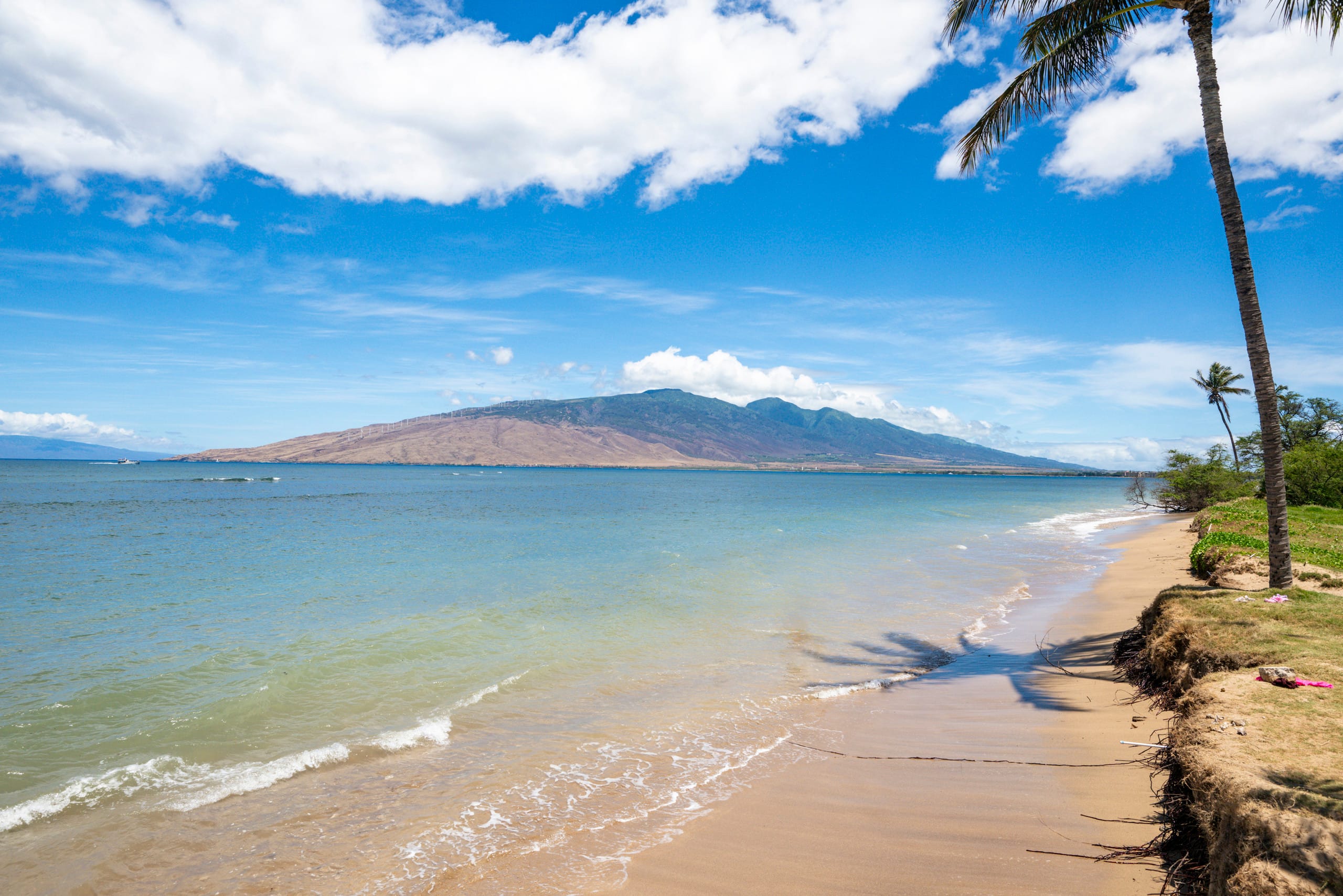 Oceanfront Condo in Maui Sunset Resort with Pool - Image 14