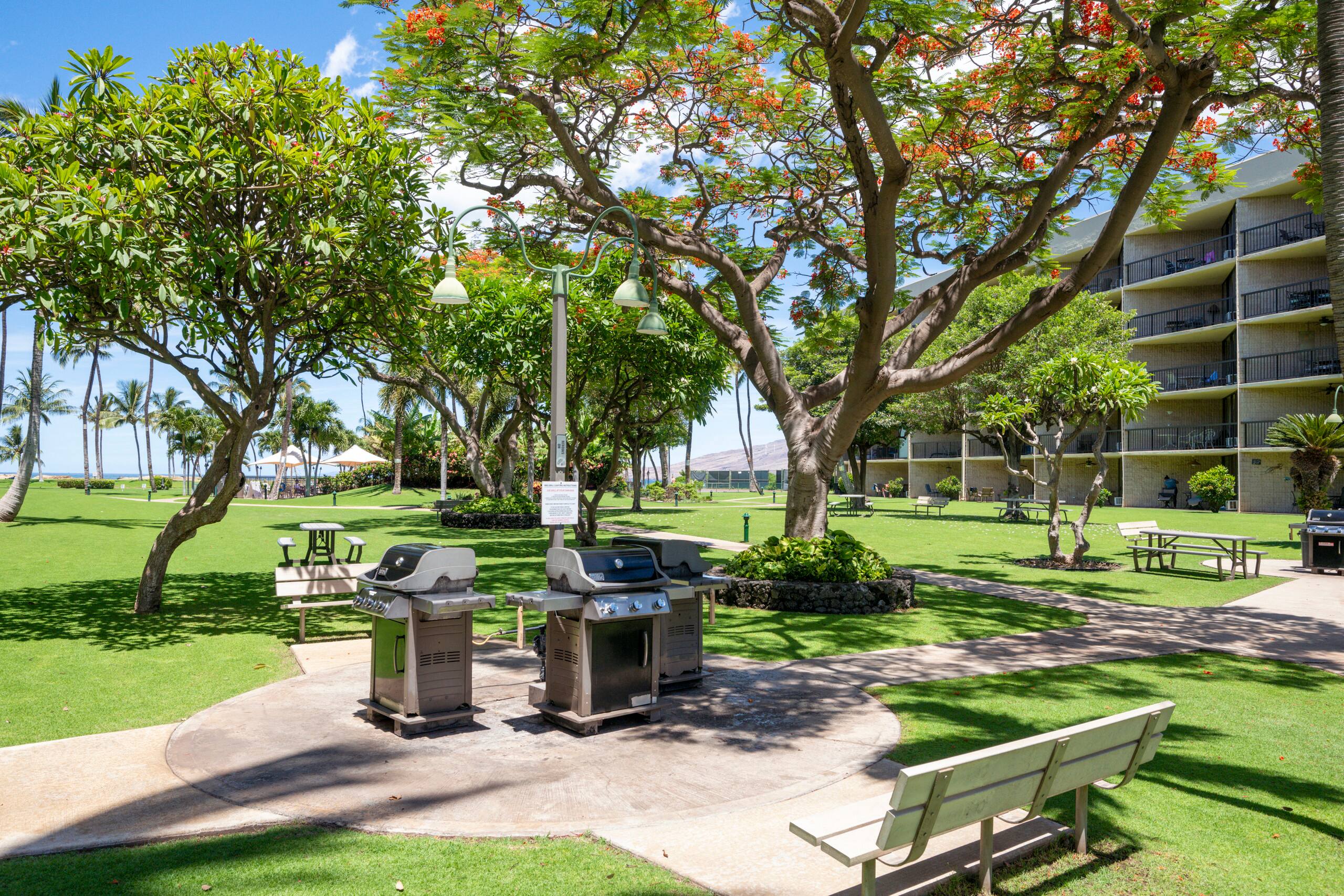 Oceanfront Condo in Maui Sunset Resort with Pool - Image 23