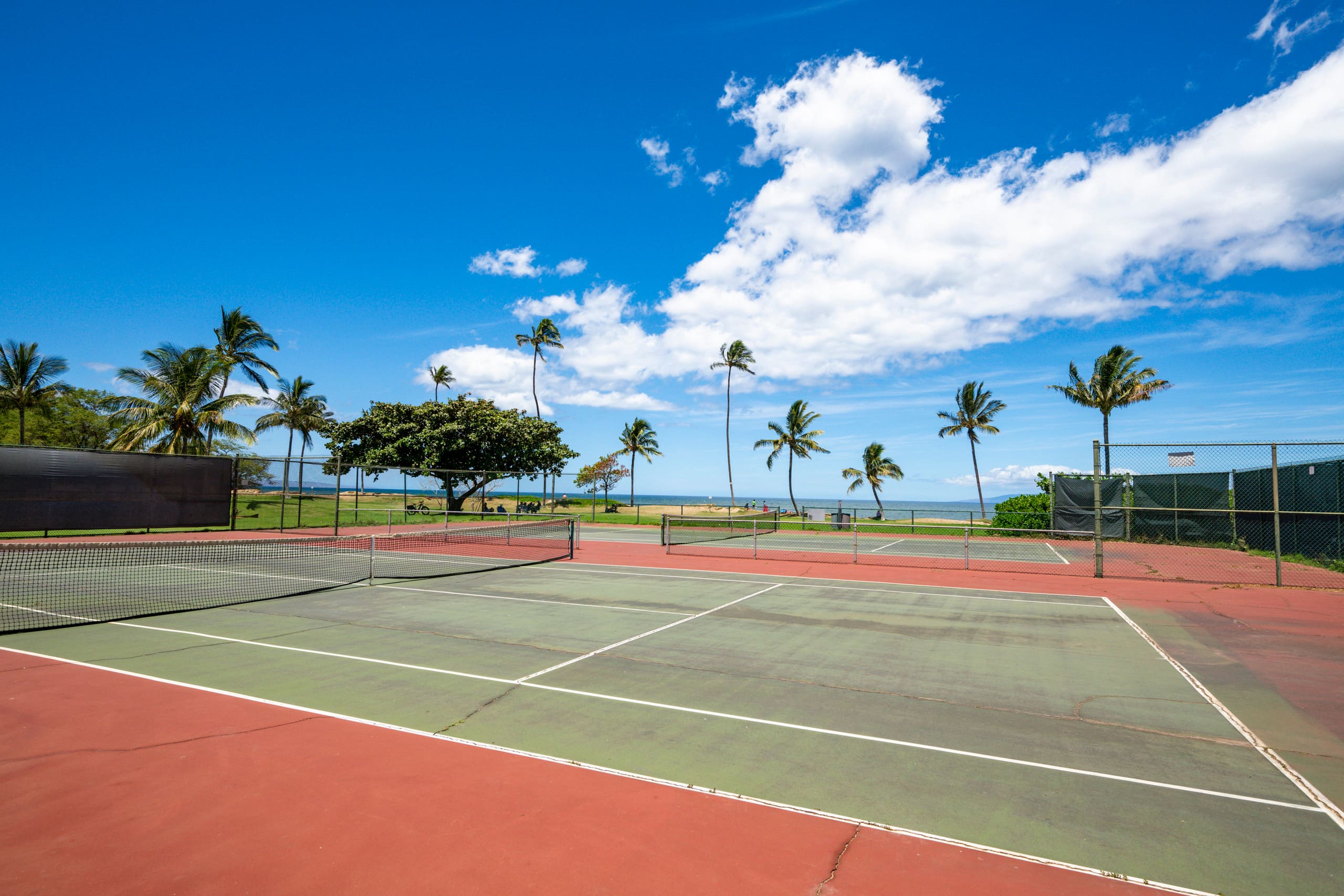 Oceanfront Condo in Maui Sunset Resort with Pool - Image 15