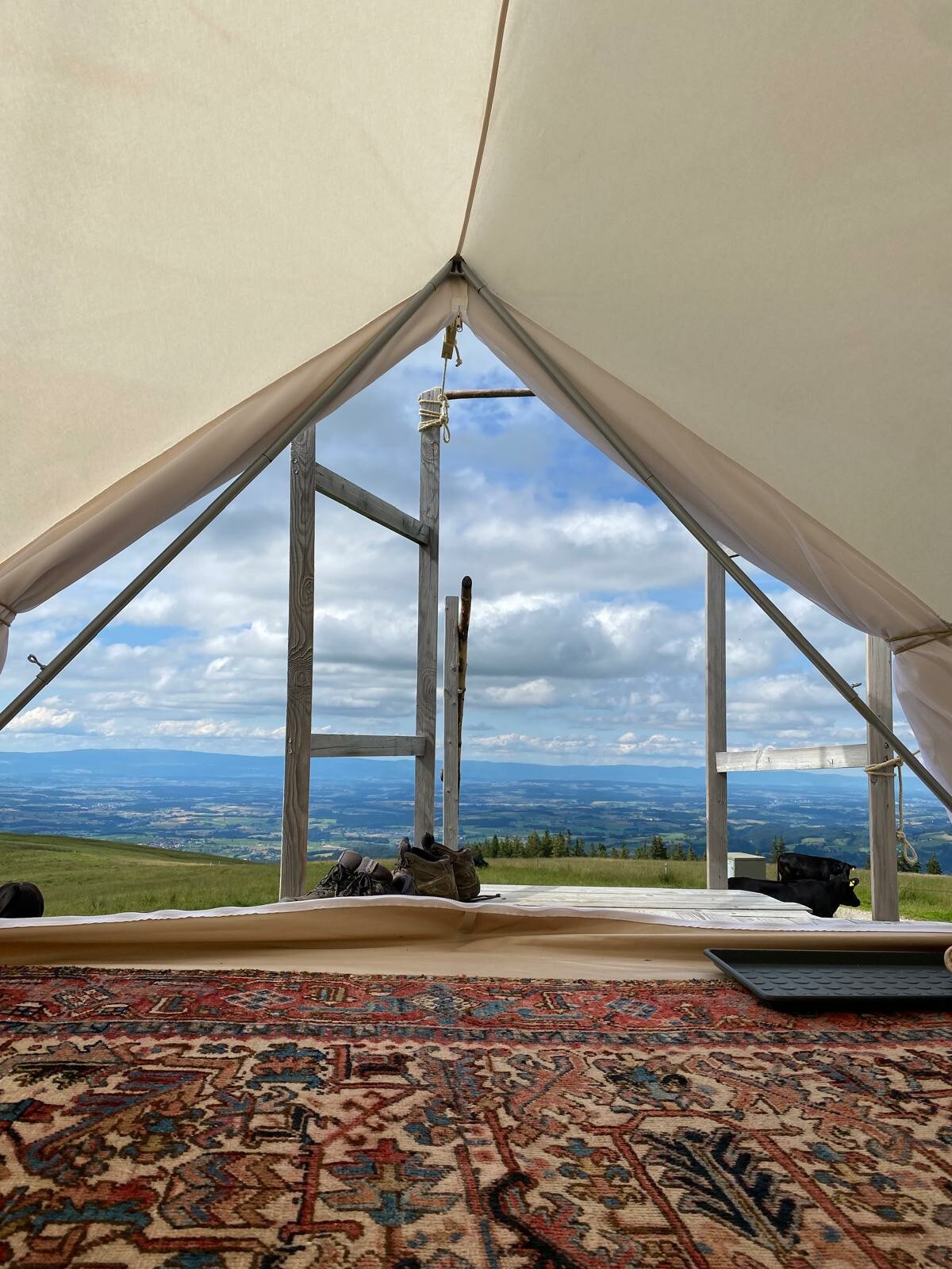 The interior of a bell tent is viewed from the entrance, highlighting a wooden floor and intricately patterned rug. Open triangular flaps reveal a breathtaking view of rolling hills and expansive skies in the distance. Light filters in, creating a serene atmosphere.