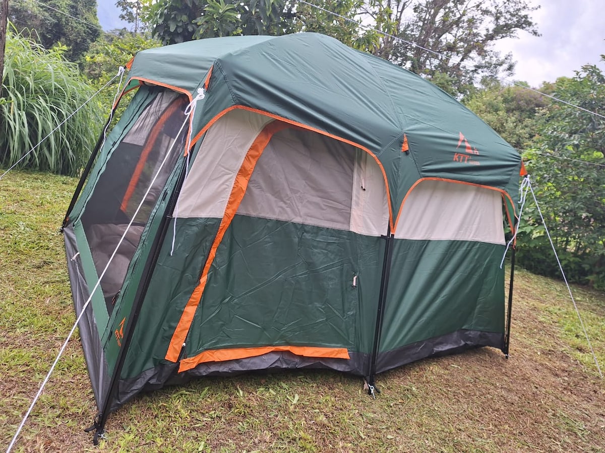 A spacious camping tent features a combination of green and orange colors, set against a natural backdrop. The structure includes large mesh windows and a front entrance, allowing for ventilation while maintaining a connection with the surrounding landscape.