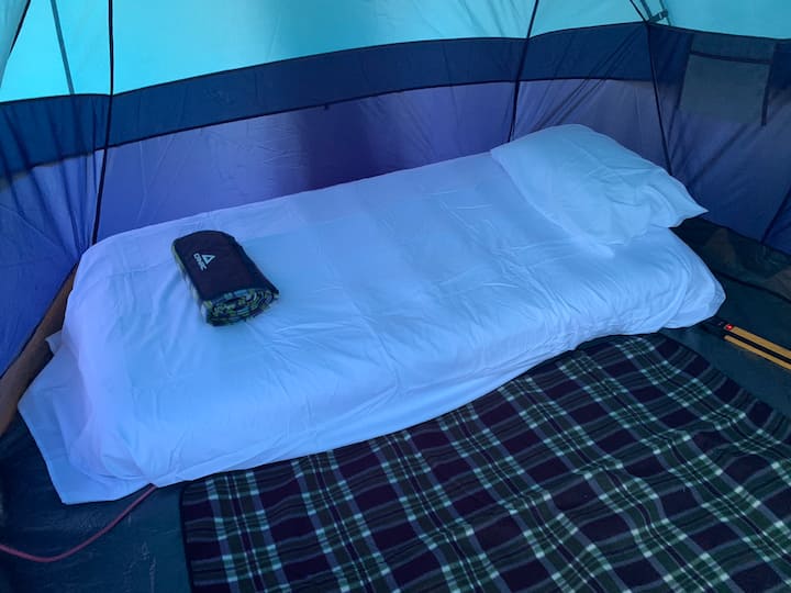 Camping De Ville Sous Les Arbres - Québec