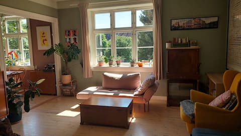 Top performing Airbnb: Large apartment in Torshov in Sagene