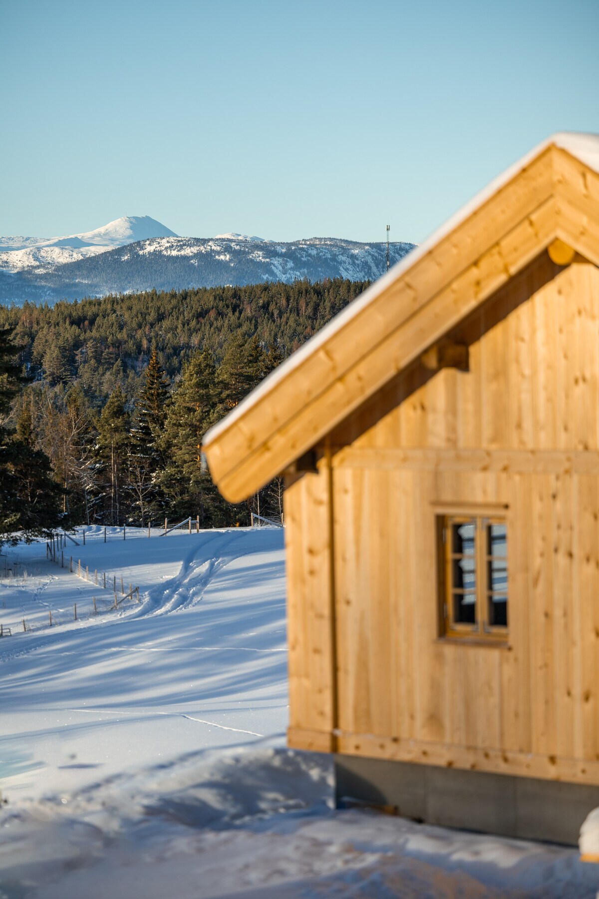 A wooden cabin is depicted, showcasing a steeply pitched roof and large window reflecting the sunlight. Snow-covered terrain, characterized by gentle slopes, leads to a backdrop of mountains and dense evergreen forests under a clear blue sky.