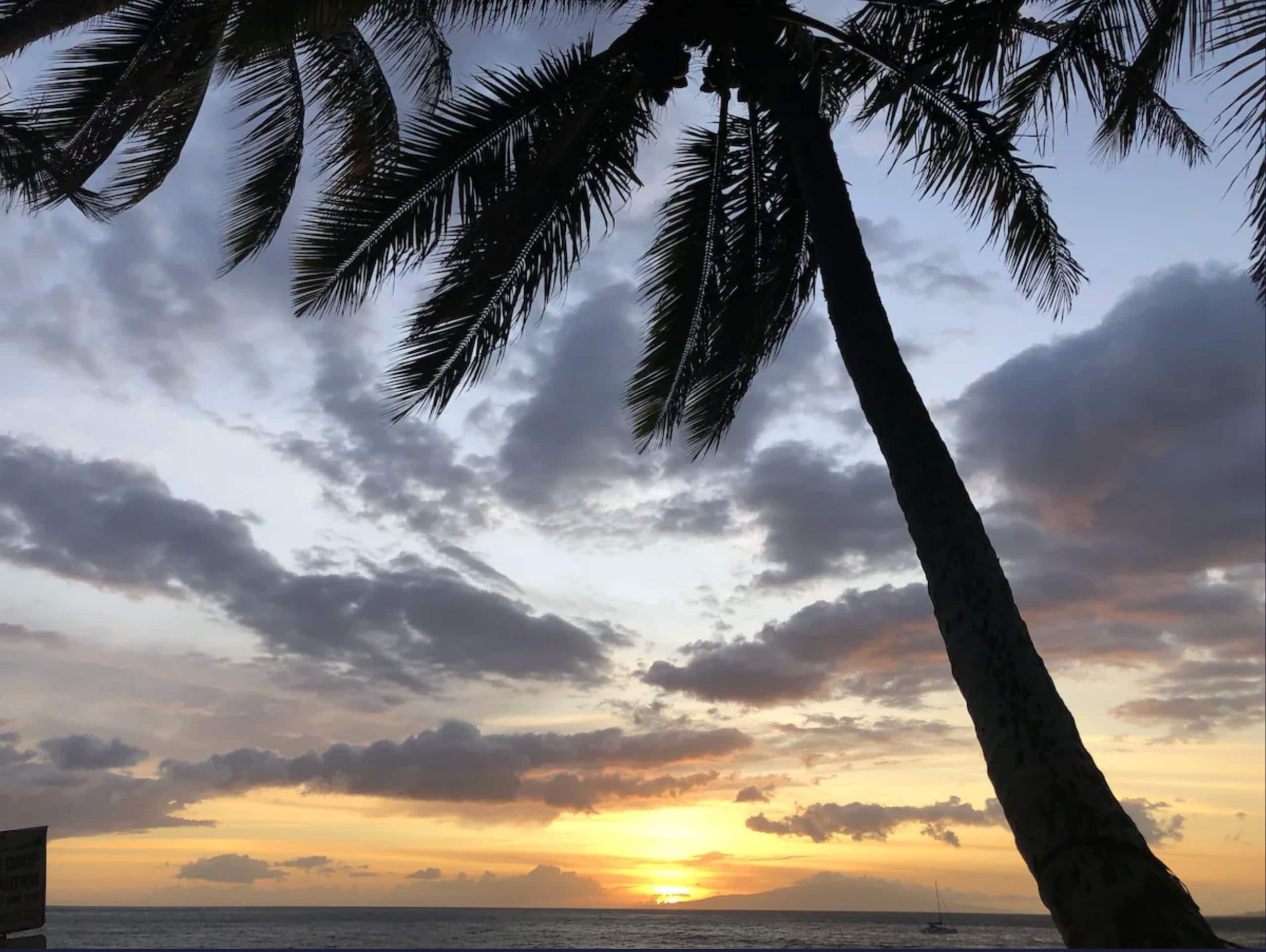 Lowest rates in Wailea right now! Spacious 5-star - Image 36