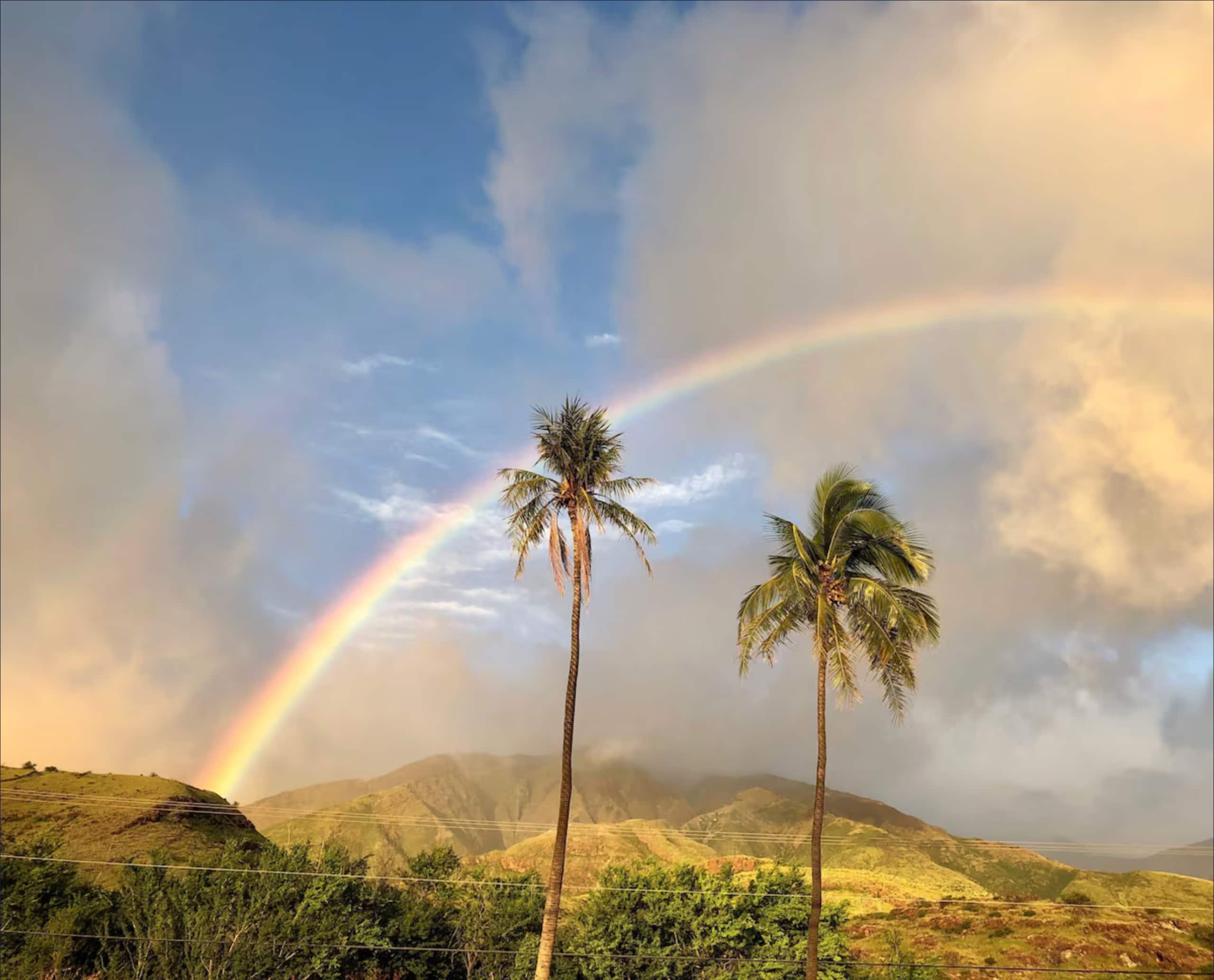 Lowest rates in Wailea right now! Spacious 5-star - Image 29