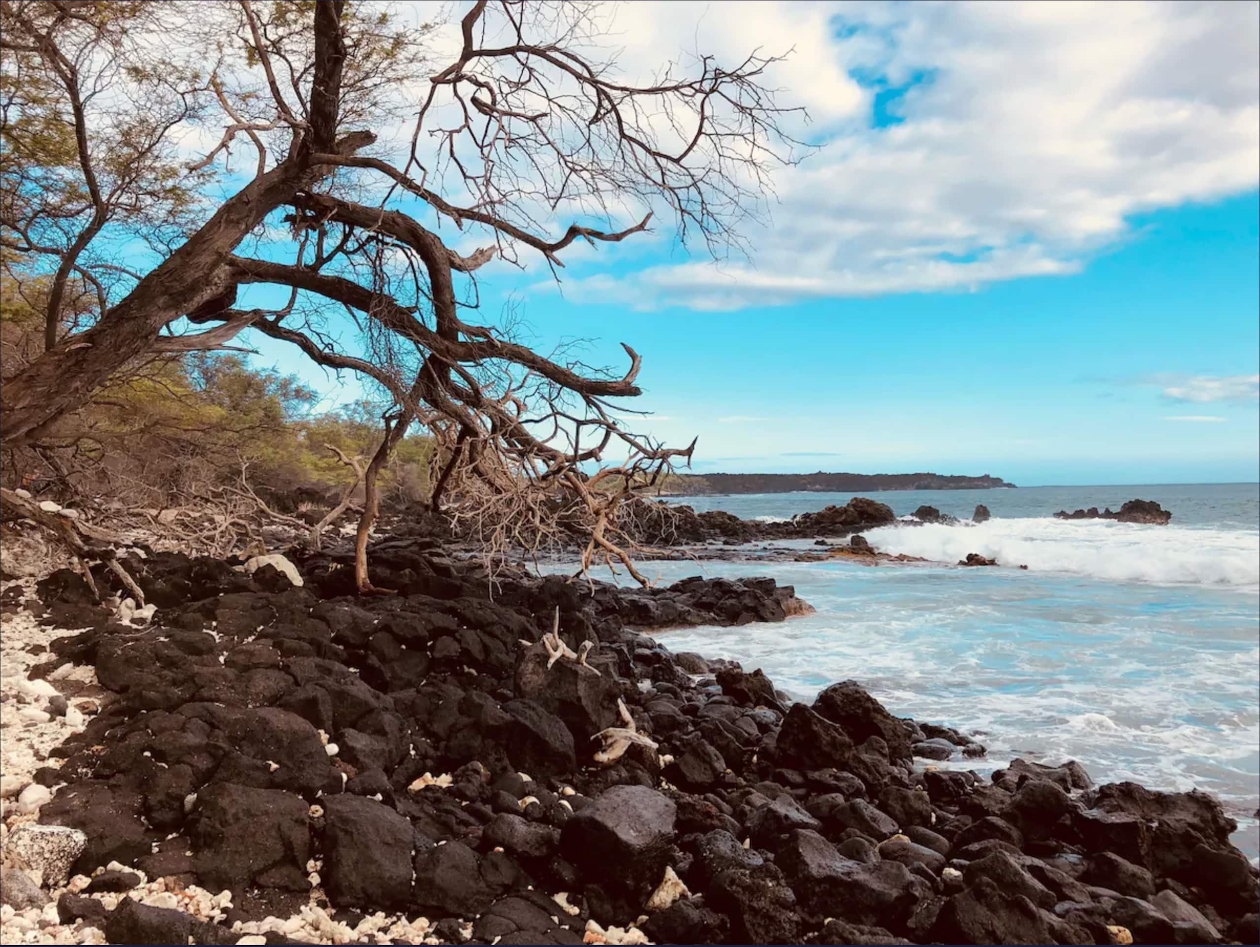 Lowest rates in Wailea right now! Spacious 5-star - Image 28