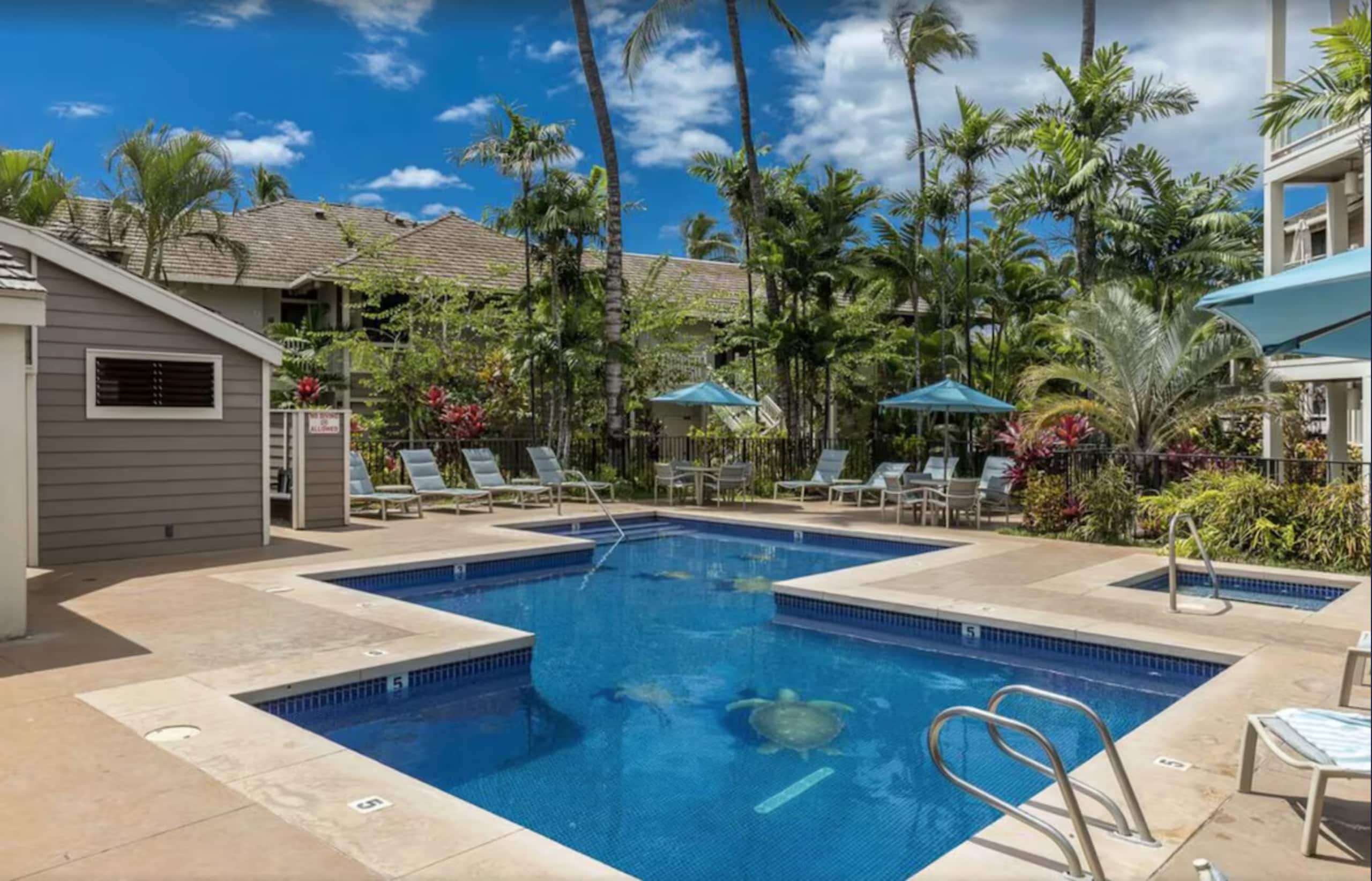 Lowest rates in Wailea right now! Spacious 5-star - Image 26