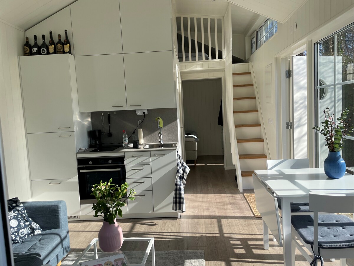 The open living area features modern white cabinetry, a compact kitchen with essential appliances, and a dining table accompanied by four chairs. Natural light floods the space through large windows, highlighting a staircase that leads to the loft bedroom. Decorative plants add a touch of greenery.