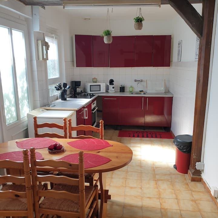 Le Goupil Solognot - Loir-et-Cher