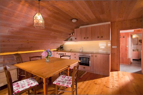 Juvanova Hiša | Apartment Wooden House Štiblc