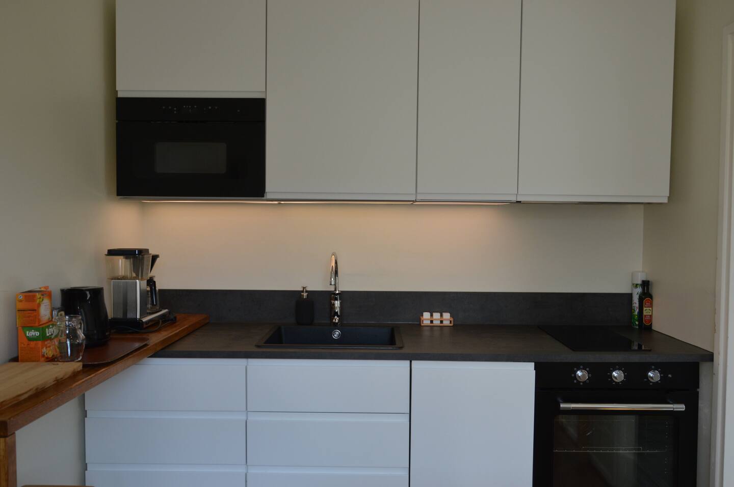 Spacious Newly Renovated Studio 3