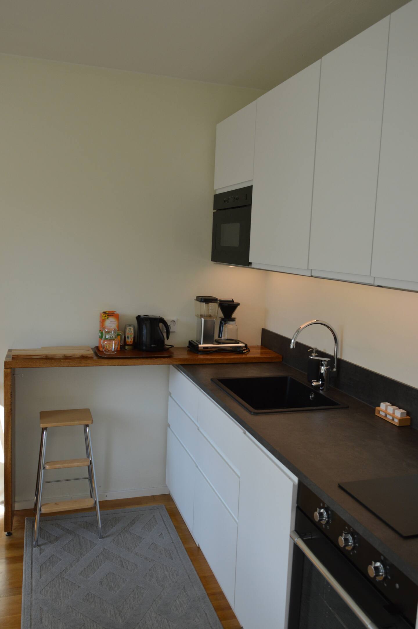 Spacious Newly Renovated Studio 2