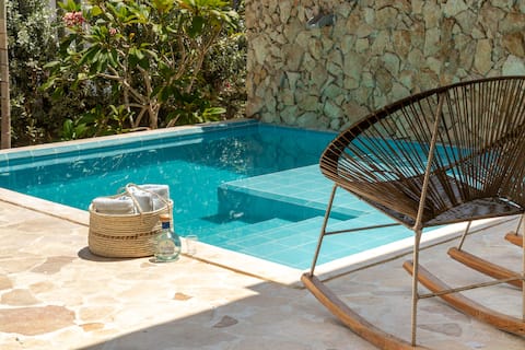 Modern cabin with a private pool