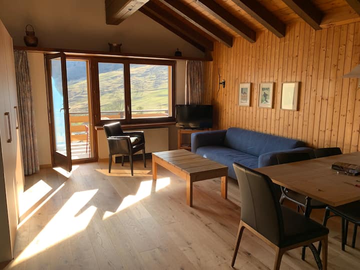 Rustic Attica Flat - Switzerland