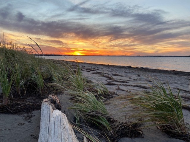 A sandy beach is bordered by green grasses and driftwood, with a vibrant sunset reflecting on the water. Soft clouds are visible in various hues, creating a serene atmosphere as the day transitions into evening.