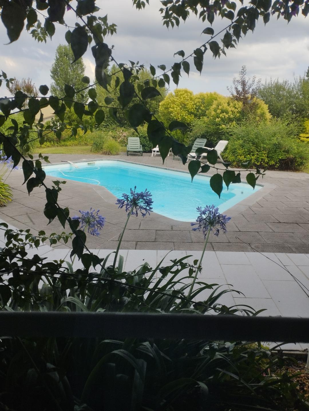 A serene outdoor space is revealed through leafy branches, showcasing a calm swimming pool surrounded by pavers. Sun loungers line one side, while lush greenery and colorful flowers provide a natural backdrop, enhancing the tranquil environment.
