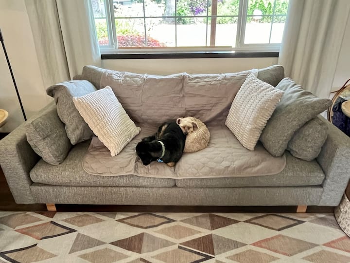 Dog blanket to protect the furniture if your pets are used to cuddling with you.