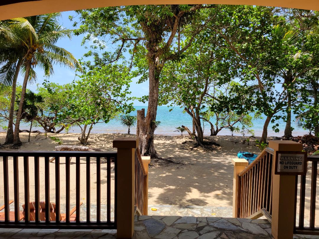 A view from a beachfront veranda showcases a sandy beach bordered by tropical trees. Soft waves gently kiss the shore under a clear blue sky, with glimpses of water visible through the foliage. Natural shade is provided by the surrounding greenery.