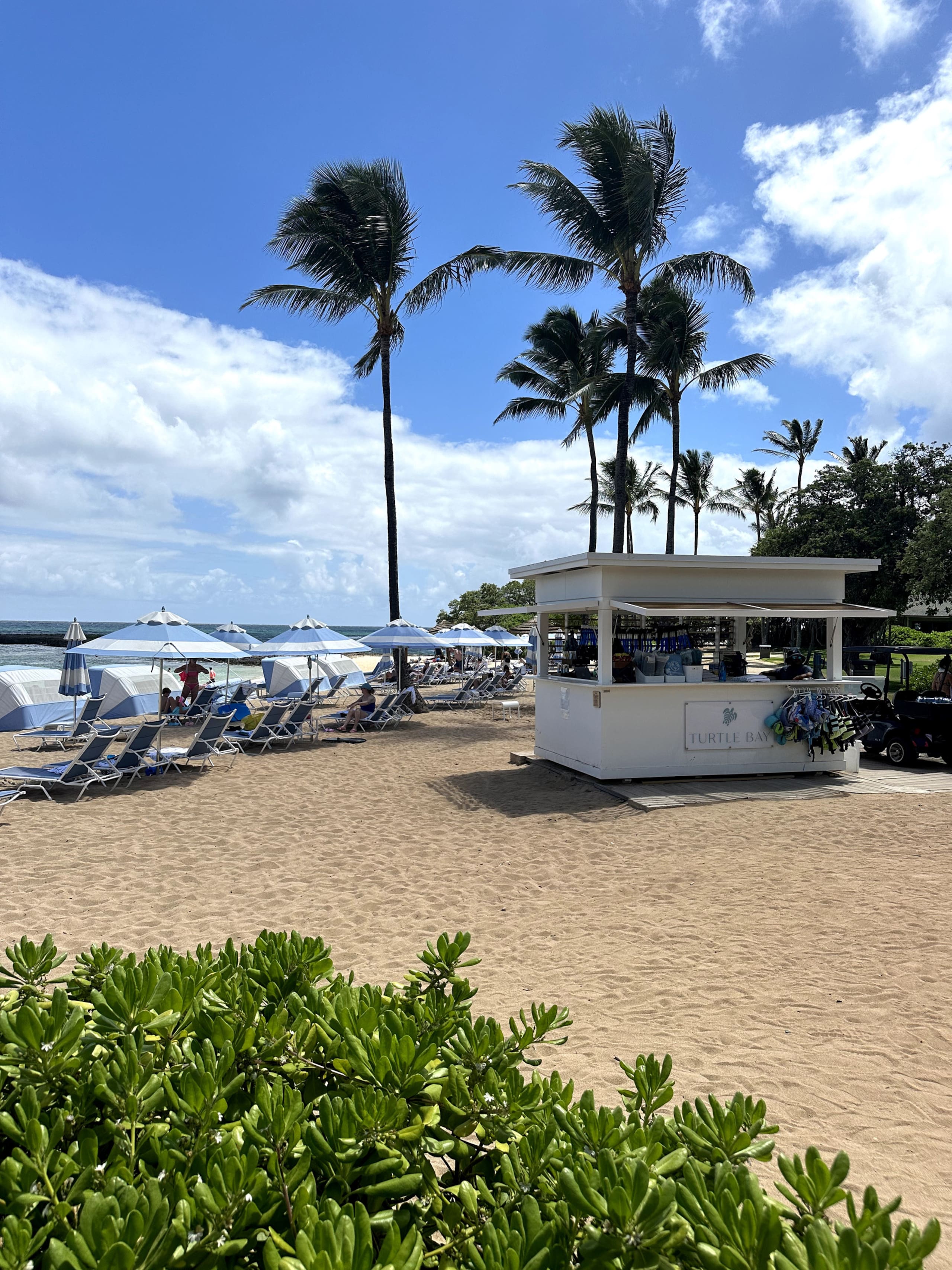 Aloha Valentina Turtle Bay - 2 BD PLUS Loft - Image 50