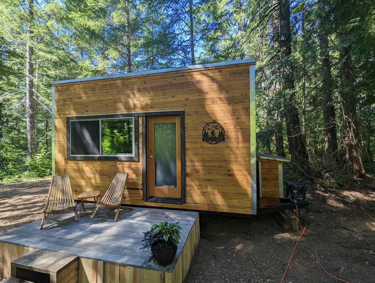 A modern tiny house is set amidst tall trees, featuring a wooden exterior with large windows. A small porch with two wooden lounge chairs invites relaxation, while a potted plant adds a touch of greenery. Natural light filters through the surrounding forest.