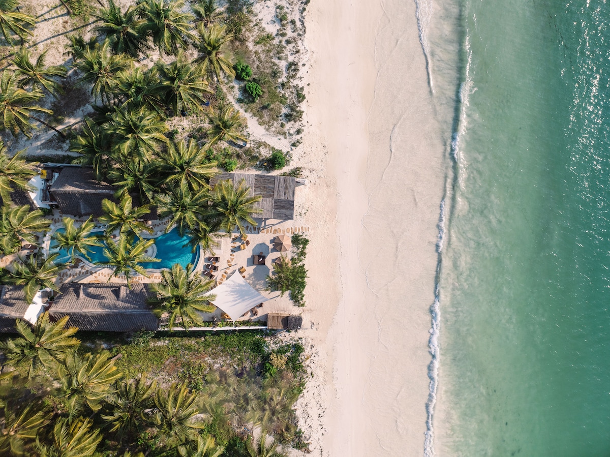An aerial view captures the serene beachside setting featuring golden sand bordered by lush palm trees and the tranquil turquoise waters of the ocean. A stylish pool is visible among the greenery, inviting relaxation in this tropical paradise.