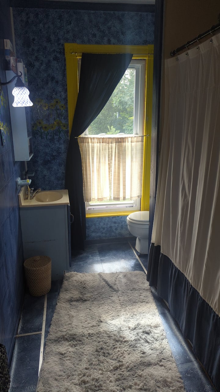 Cute Bedroom In A 3 Bd Victrn. - Elmira, NY