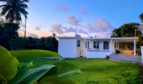 Casa Tropical Centrica  3/BR  2/B Patio Wifi+Pet F