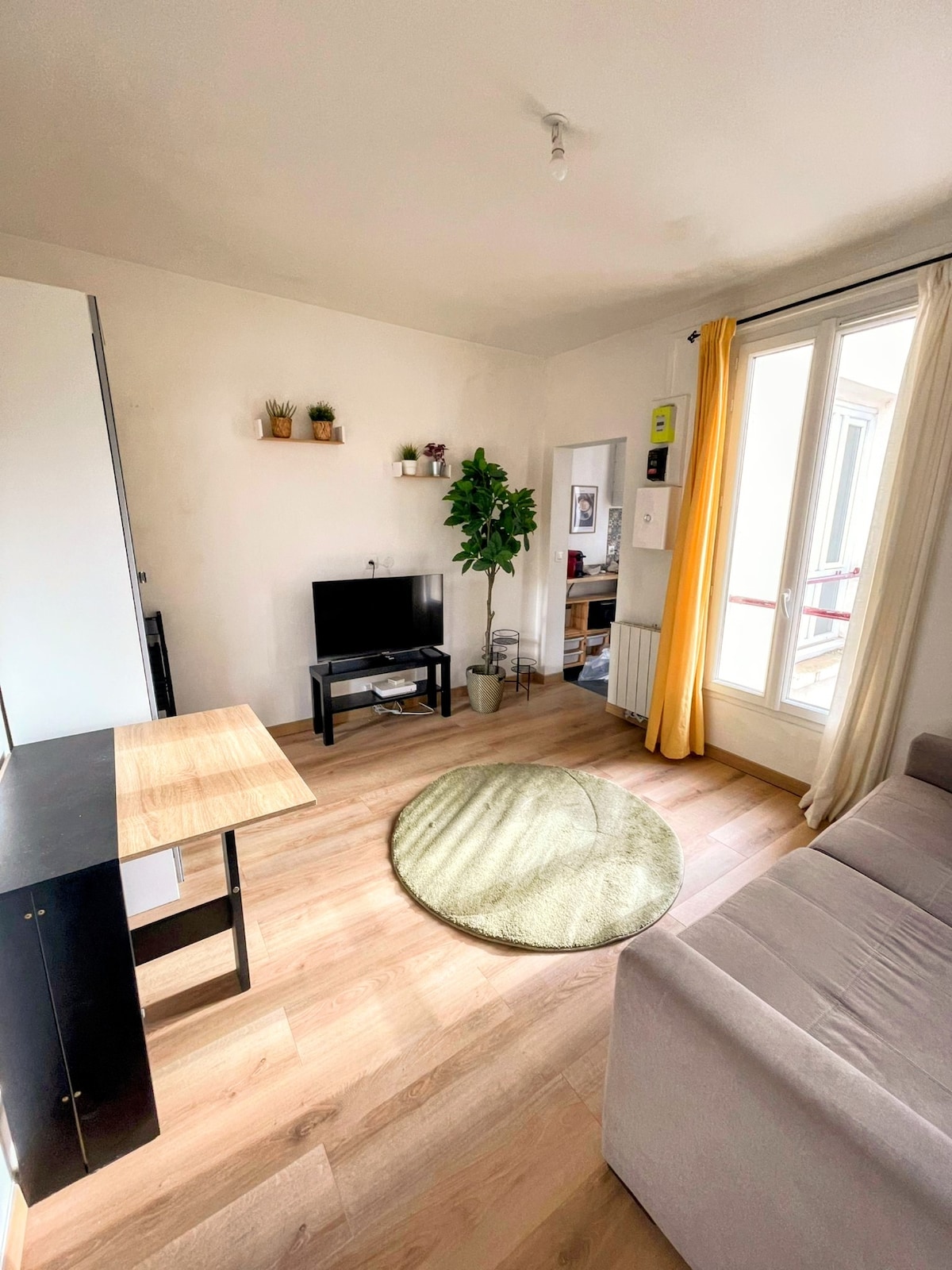 A bright living space features a comfortable sofa bed and a 40-inch smart TV on a simple black stand. A round green rug sits on the wooden floor, while a small plant and wall shelves add touches of greenery. Natural light enters through large windows with light curtains.