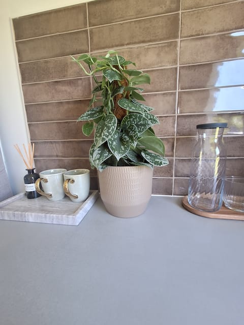 Successful Airbnb property: Westerhoeve in Petten
