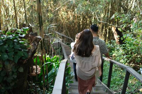 [From the garden to the sea] Total site 2,000 tsubo | Rent 2 oceanfront buildings