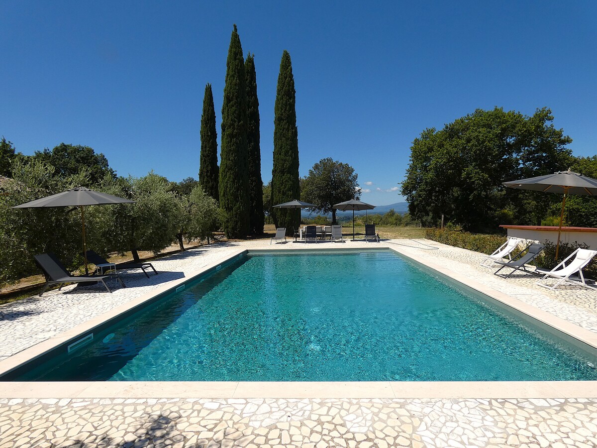 A serene pool area is surrounded by lush greenery and cypress trees. Sun loungers and umbrellas are positioned around the pool, inviting relaxation. The clear blue water reflects the sky, enhancing the tranquil ambiance of the outdoor space.