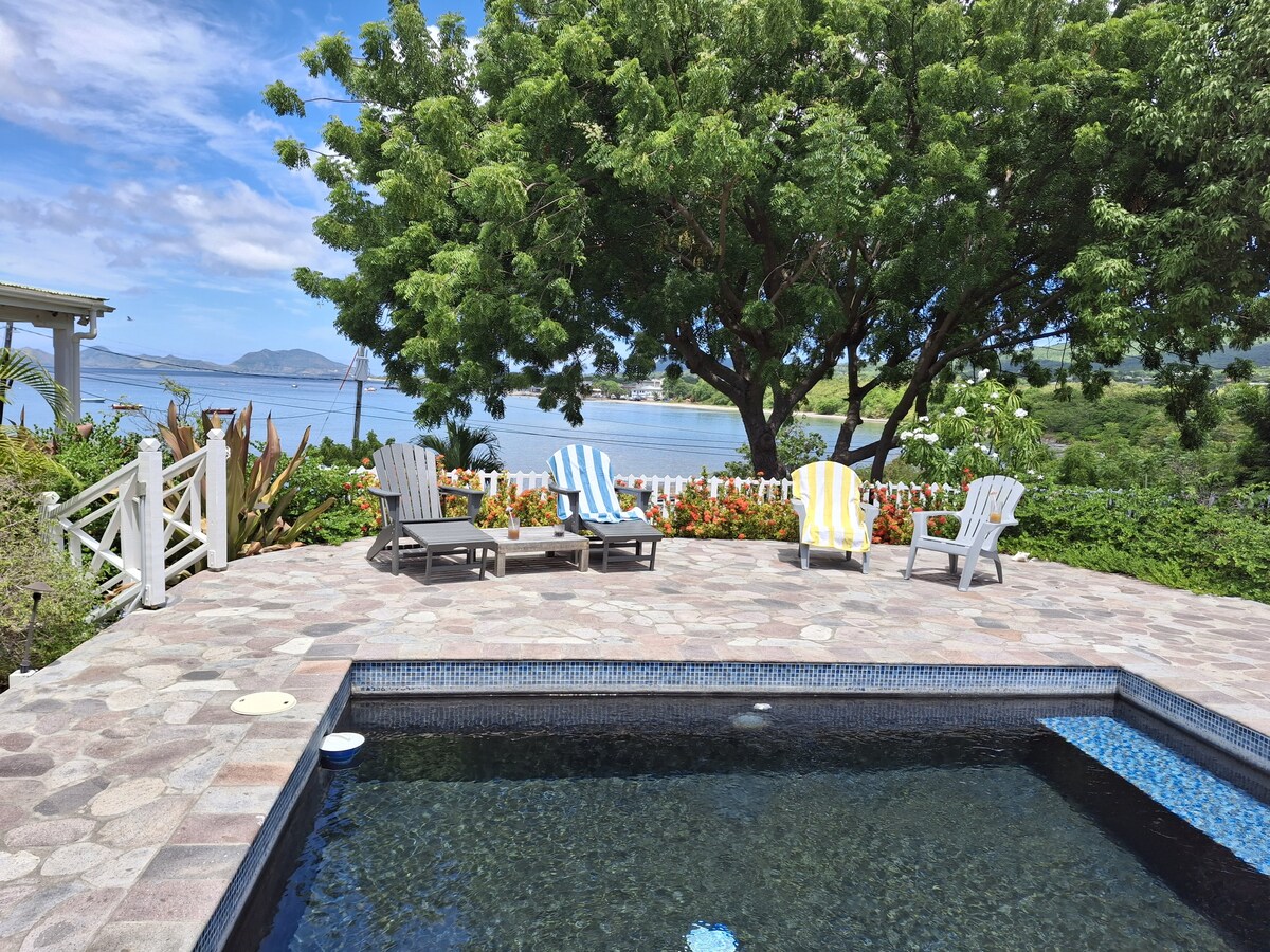 A sun deck surrounds a plunge pool, with lounge chairs positioned nearby for relaxation. Lush greenery and colorful flowers add vibrancy, while the serene view of Gallows Bay and the distant water enhances the inviting outdoor space.