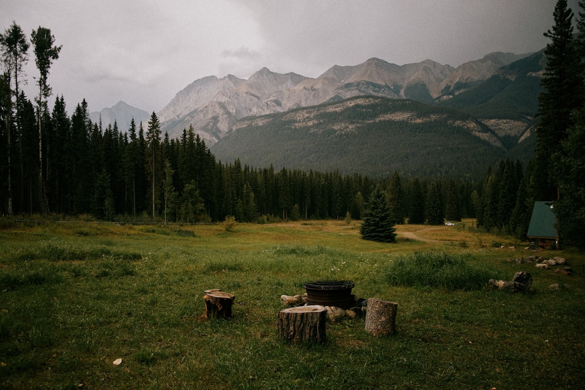 A serene landscape showcases a clearing surrounded by trees and mountains in the background. A fire pit, framed by wooden stumps, serves as a gathering point in the lush green field, ideal for outdoor activities under the vast sky.