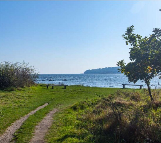 A serene view of a body of water is framed by a grassy area, featuring a narrow path leading towards the shore. Two benches overlook the water, while trees and shrubs provide natural greenery in the foreground and background.