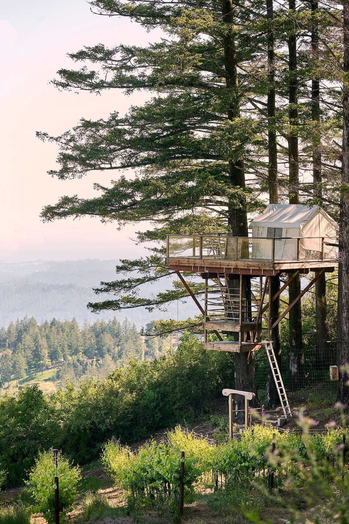 Stunning Luxury Treehouse Vacation Rentals With Private Wine Tasting In California image