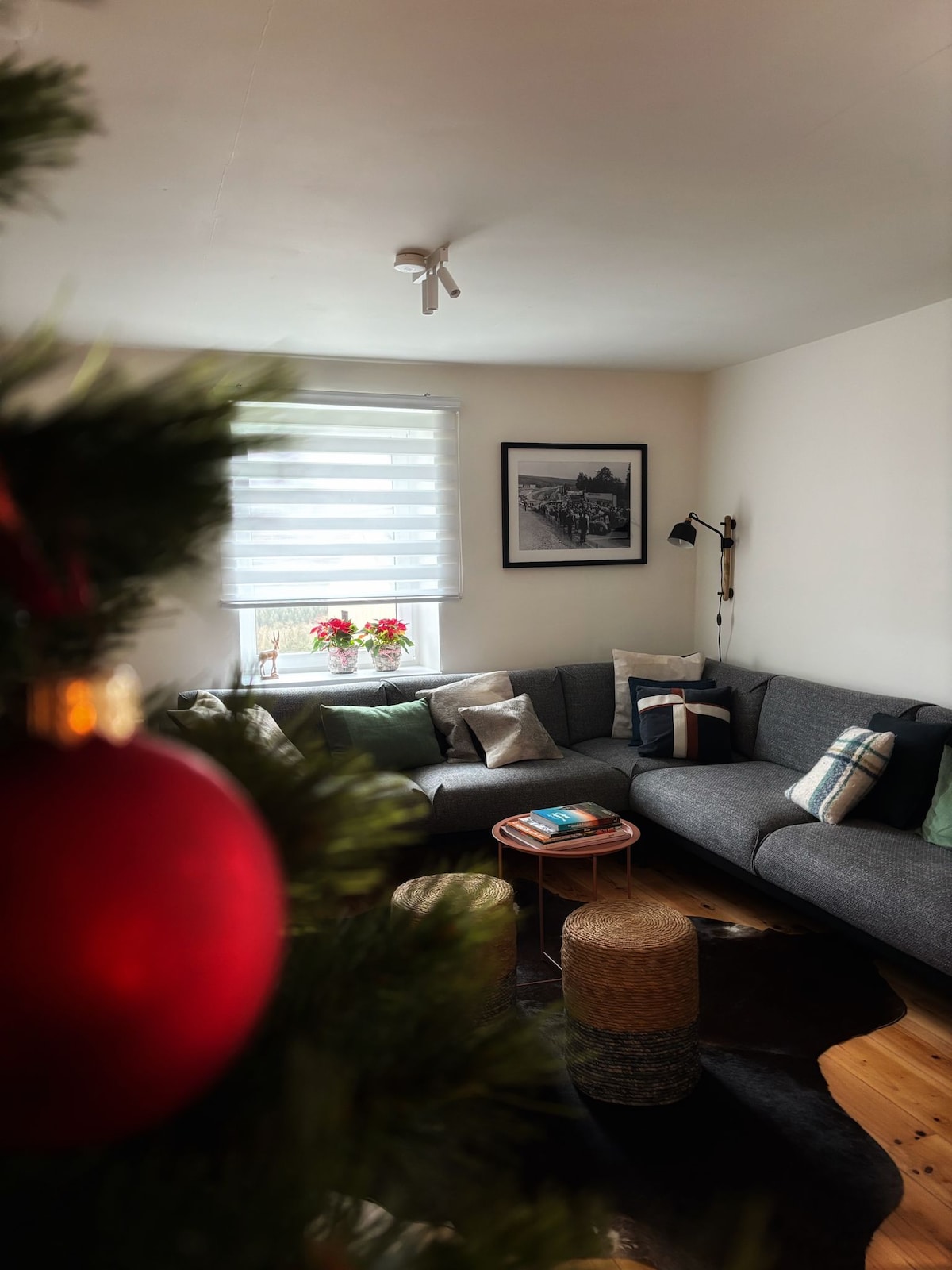 Successful Airbnb property: House closeby Stockeu, Extratrail & circuit in Stavelot