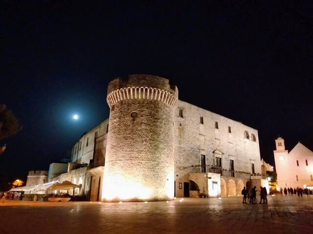 1950s Historic Home, Steps from Conversano Center gallery image 5