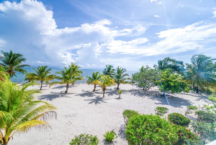 Casa Ranguana gallery image 5