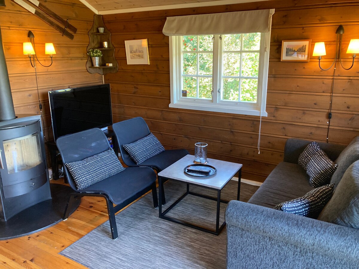 Разпуснете с камина и телевизор