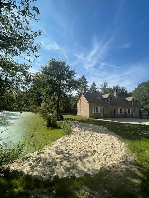 Large house with swimming pool in the heart of the forest