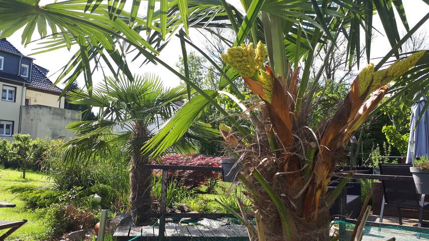 Entire home with 1 bedrooms in Dortmund - gemütliches Apartement nähe TU / Signal Iduna Park