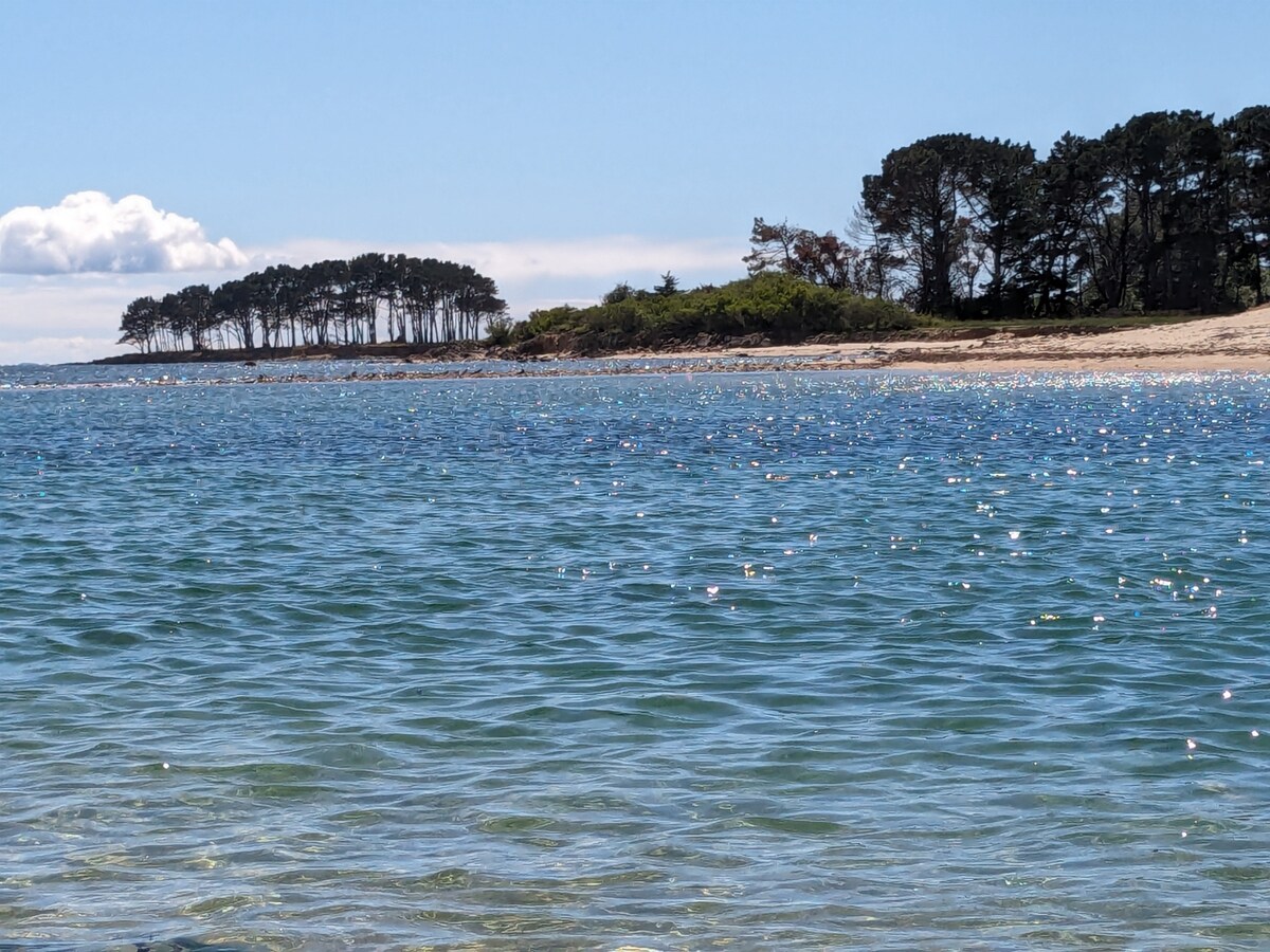 A view of a calm, clear sea is shown, with gentle waves reflecting sunlight. In the distance, a cluster of trees lines the shore, creating a natural horizon. The sandy beach is visible, blending smoothly into the water, inviting relaxation.